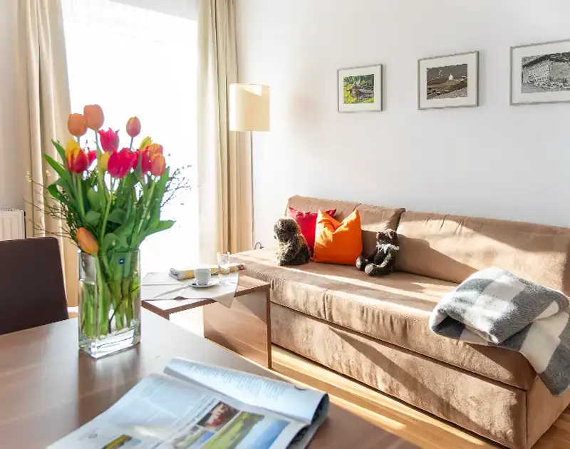 Accogliente soggiorno dell'appartamento Junior