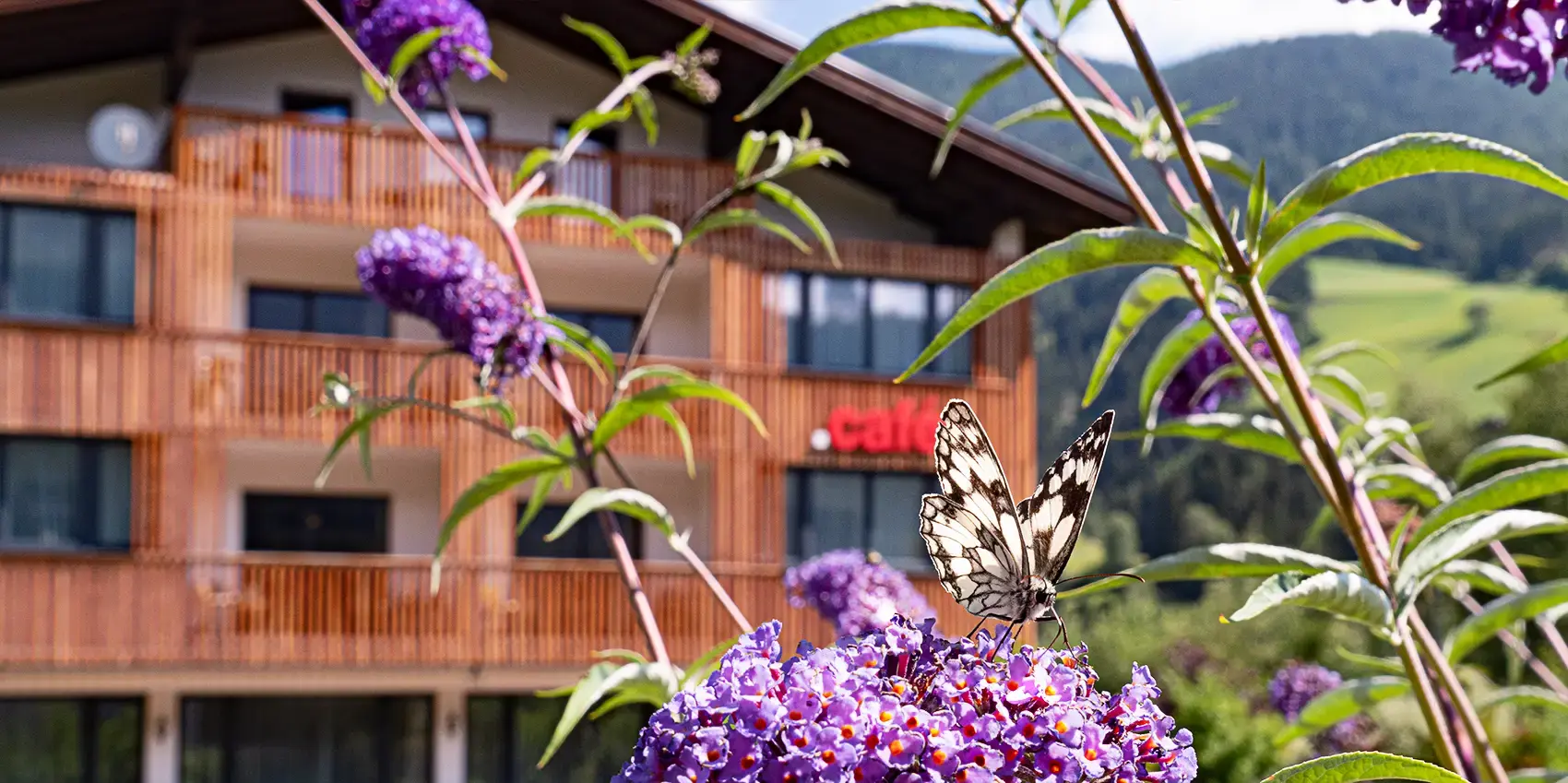 Person steht im Vordergrund am Boden und schaut auf die Berge